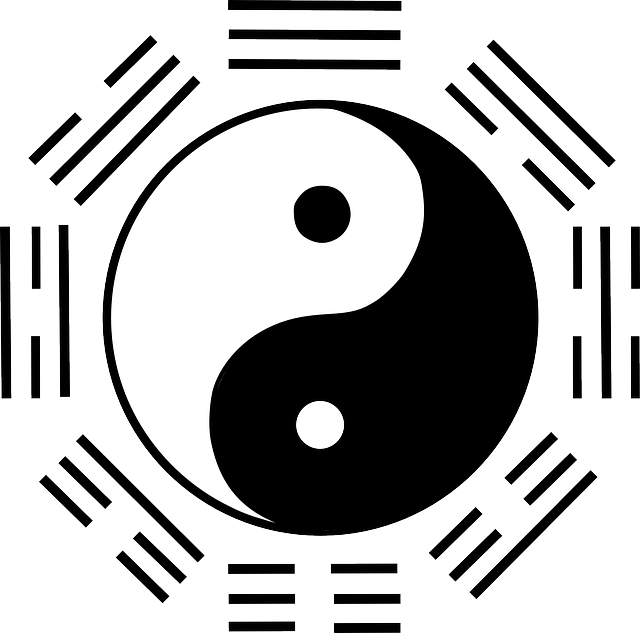yin-and-yang-147655_640